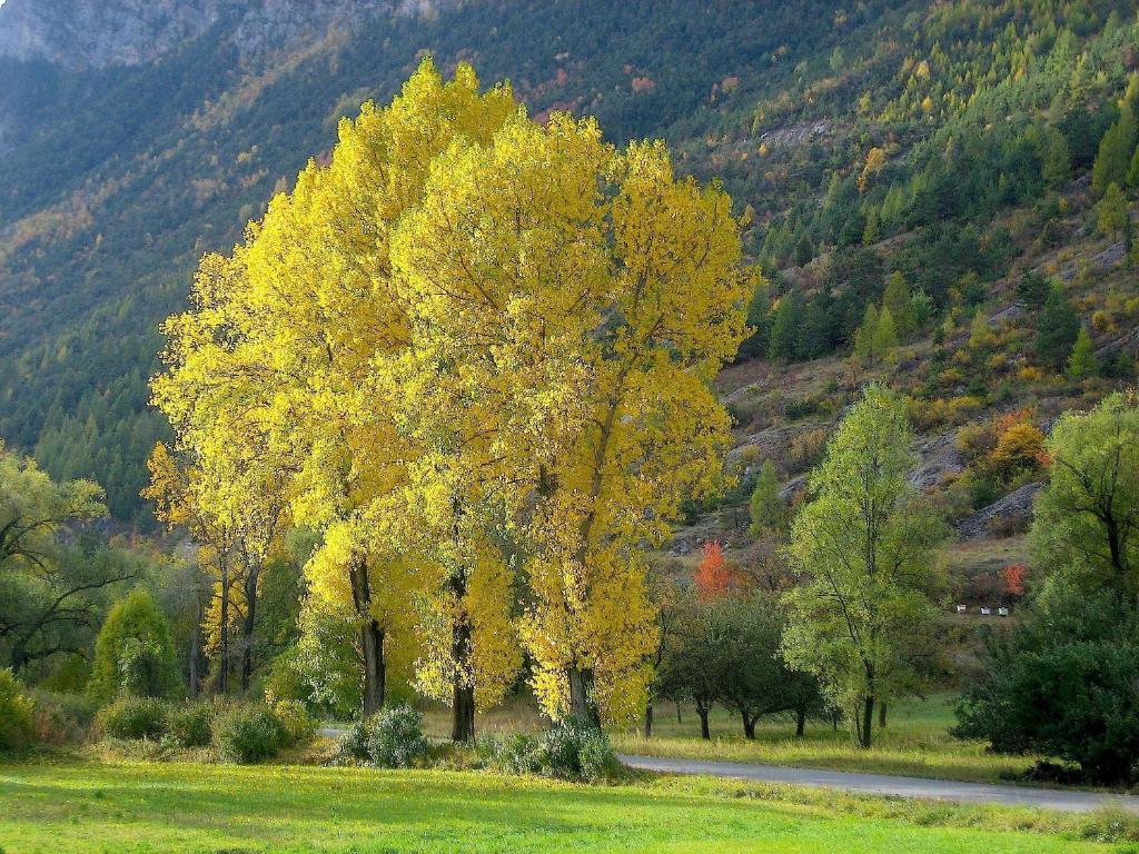 Chambres D'Hotes La Pierre D'Oran LʼArgentière-la-Bessée Buitenkant foto